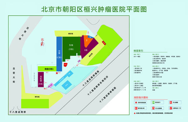 女人18两女妖毛片A片久久18北京市朝阳区桓兴肿瘤医院平面图